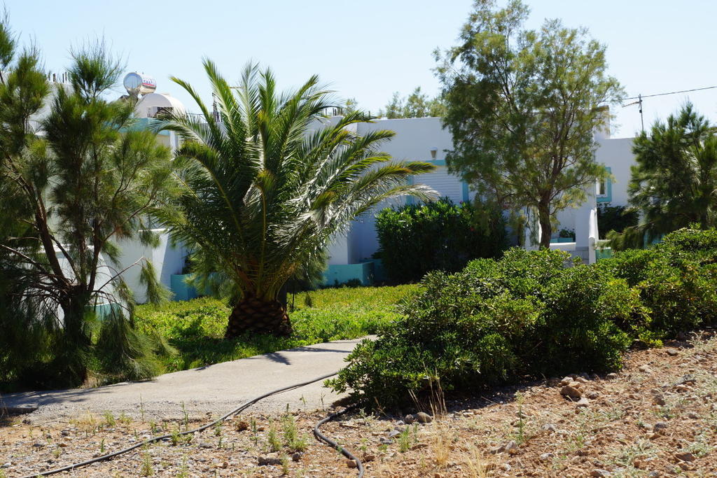 Notos Villas Франгокастелло Номер фото